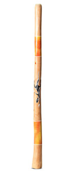 Nathan Falk Didgeridoo (PW362)